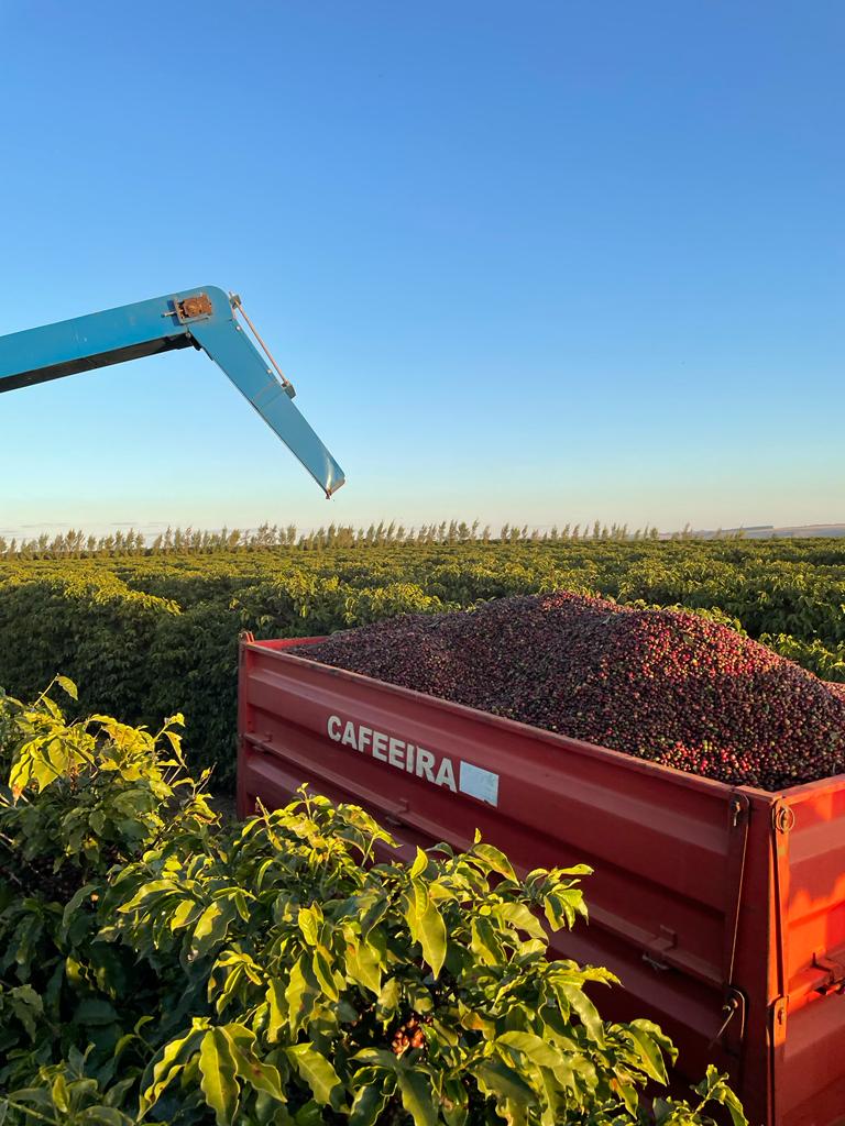 Brazil COE 2022 #19 Fazenda Chapadão coffee farm
