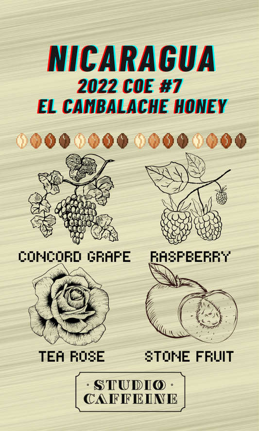 Nicaragua COE 2022 #7 - El Cambalache Maracaturra Honey
