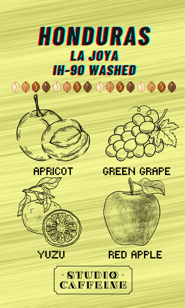 Honduras La Joya IH-90 Washed