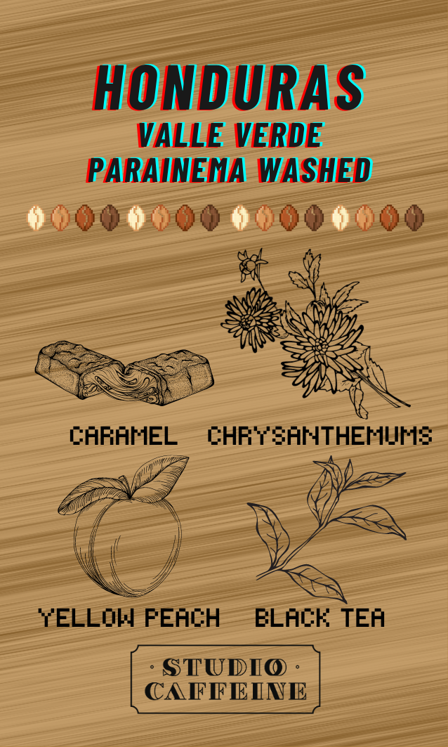 Honduras Valle Verde Parainema Washed