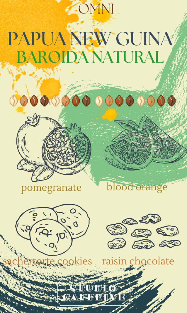 *OMNI* PNG Baroida Natural