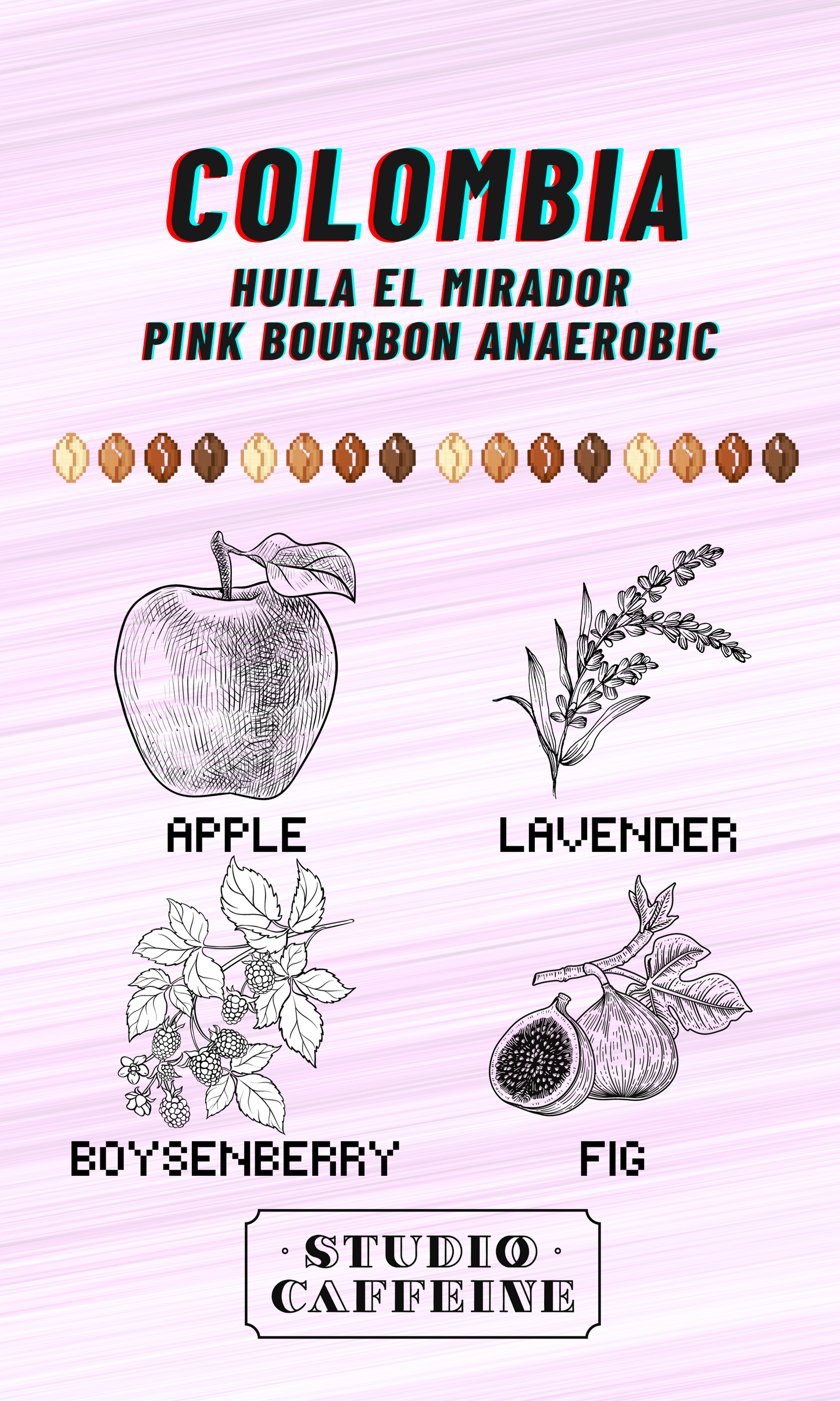 Colombia Huila El Mirador Pink Bourbon Anaerobic coffee bean fresh roasted by Studio Caffeine