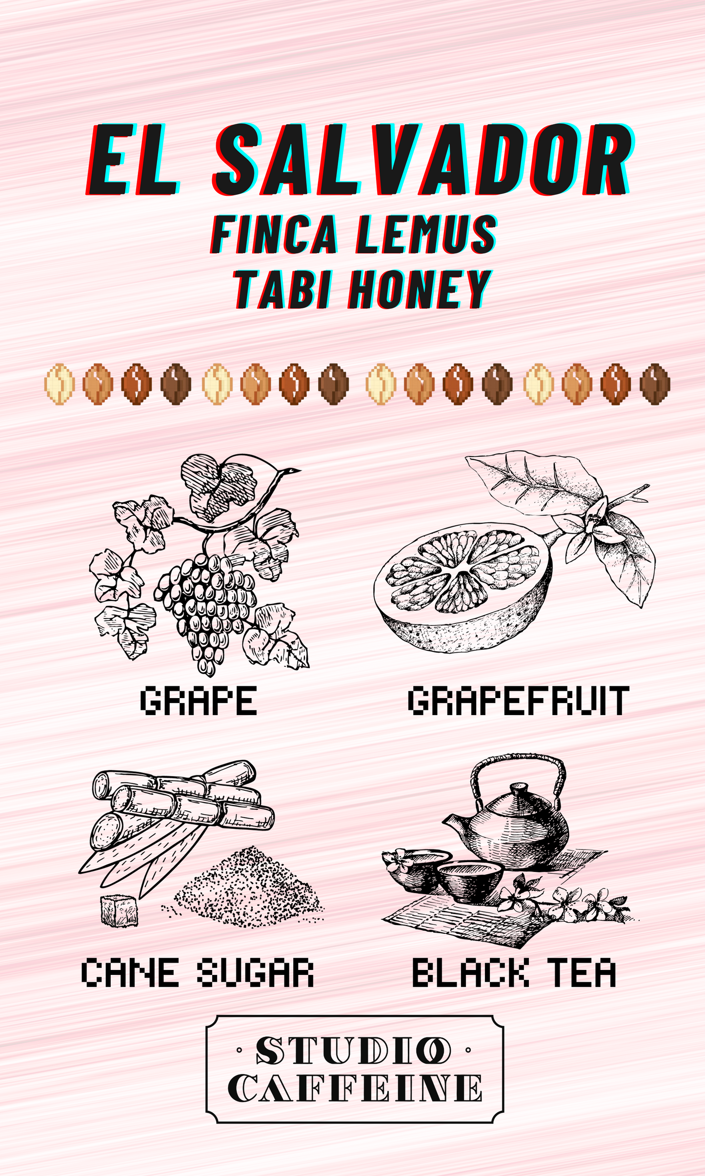 El Salvador Finca Lemus Tabi Honey coffee bean fresh roasted by Studio Caffeine