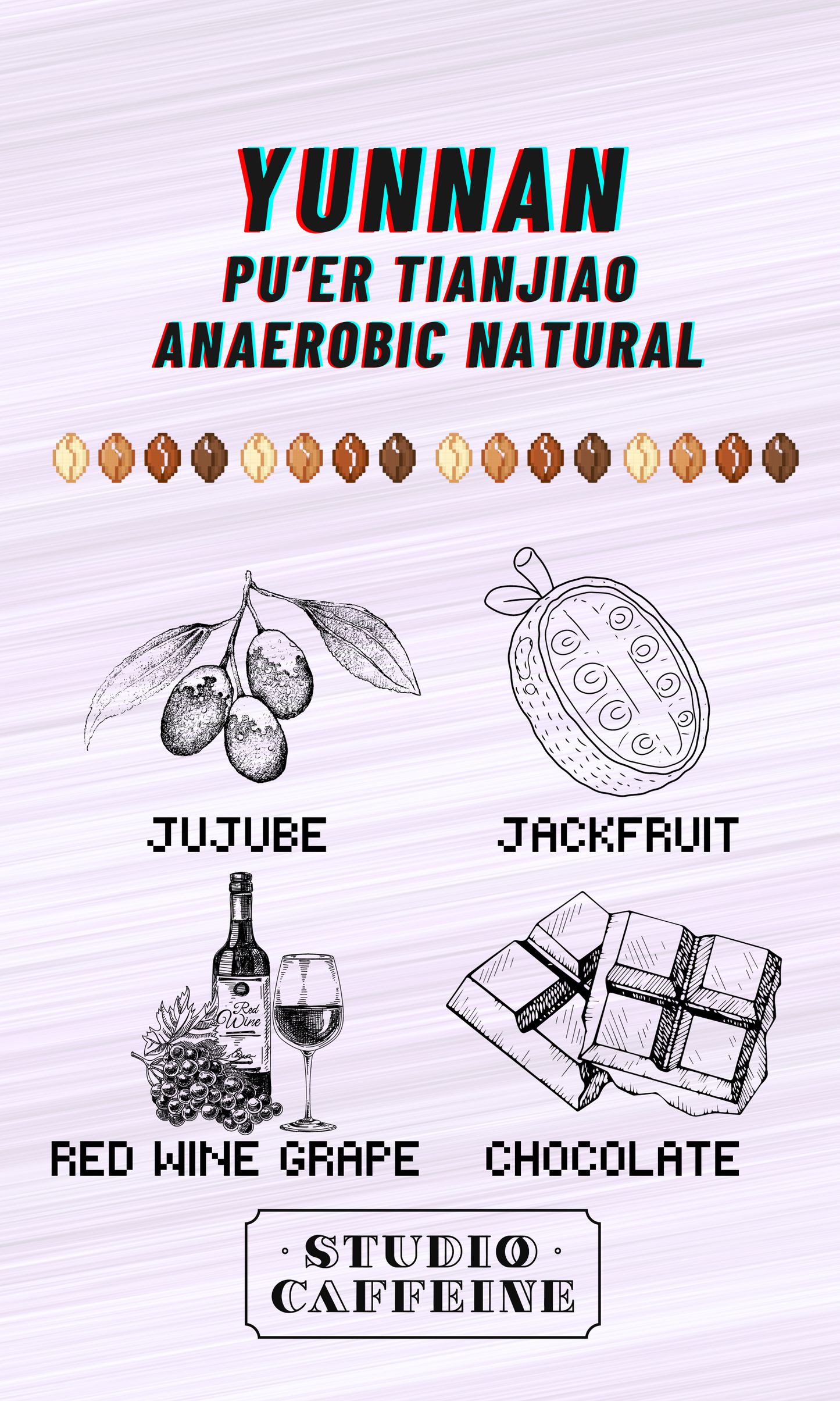 Yunnan Pu'er Tianjiao Anaerobic Natural coffee bean fresh roasted by Studio Caffeine