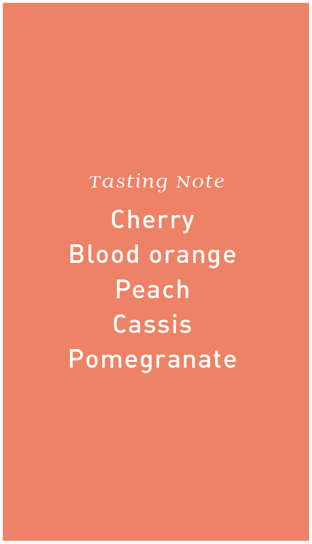 Colombia El Mirador Anaerobic Honey