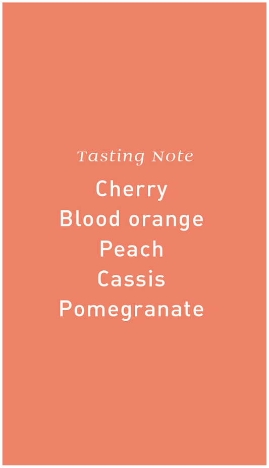 Colombia El Mirador Anaerobic Honey