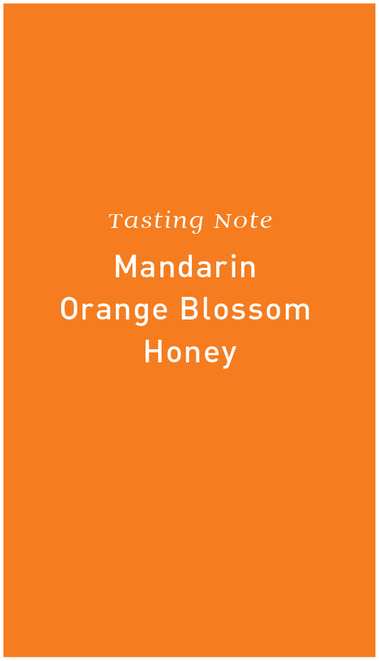 Colombia Finca Santa Monica Castillo Natural Mandarin Infusion