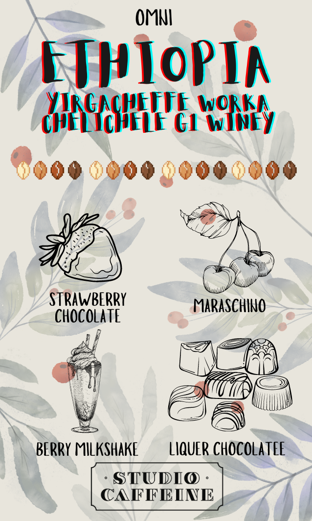 *OMNI* Ethiopia Yirgacheffe Winey Natural