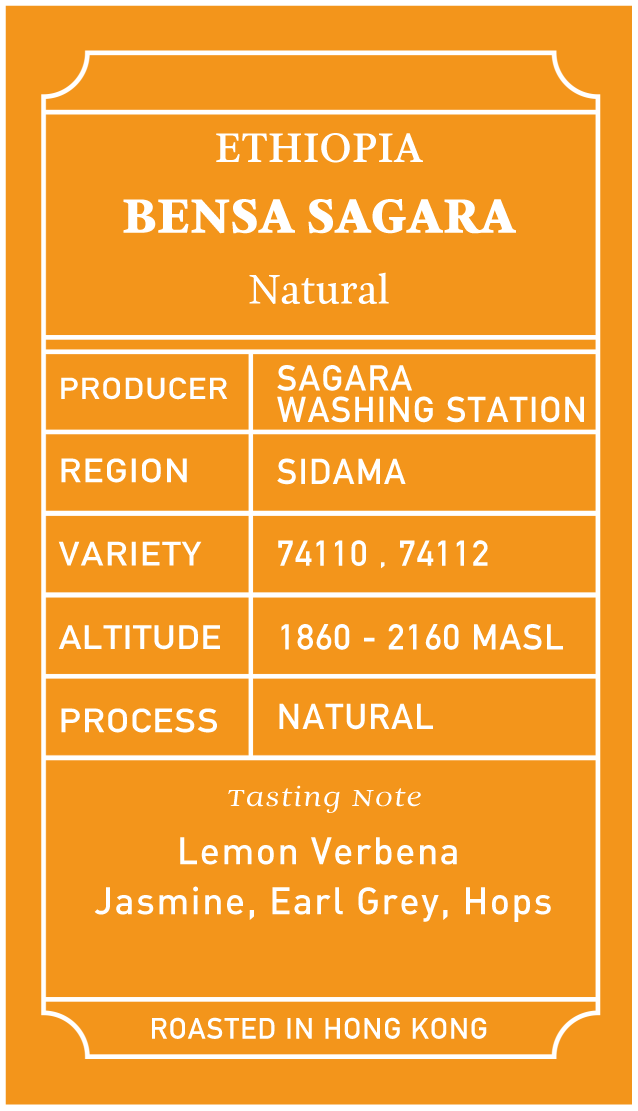 *OMNI* Ethiopia Bensa Sagara Natural