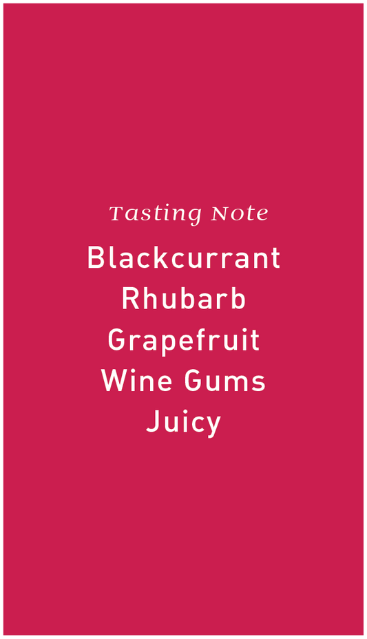 Kenya KII AB Fully Washed