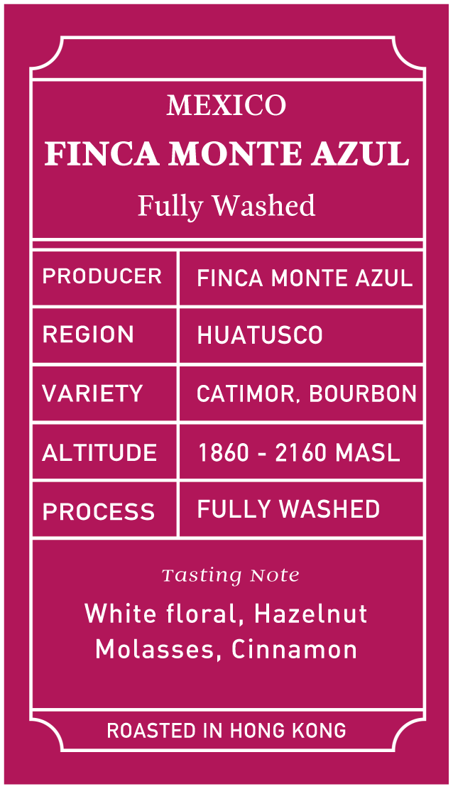 Mexico Finca Monte Azul Fully Washed