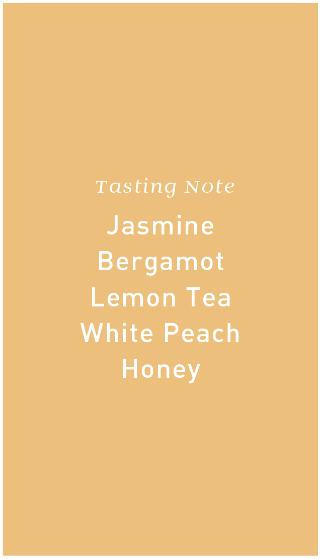 Nicaragua Finca Los Placeres Javanica Washed