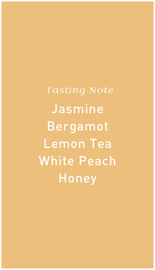 Nicaragua Finca Los Placeres Javanica Washed