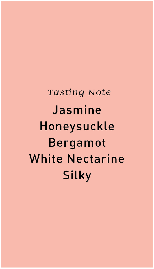 Peru Finca Perdida Geisha Washed