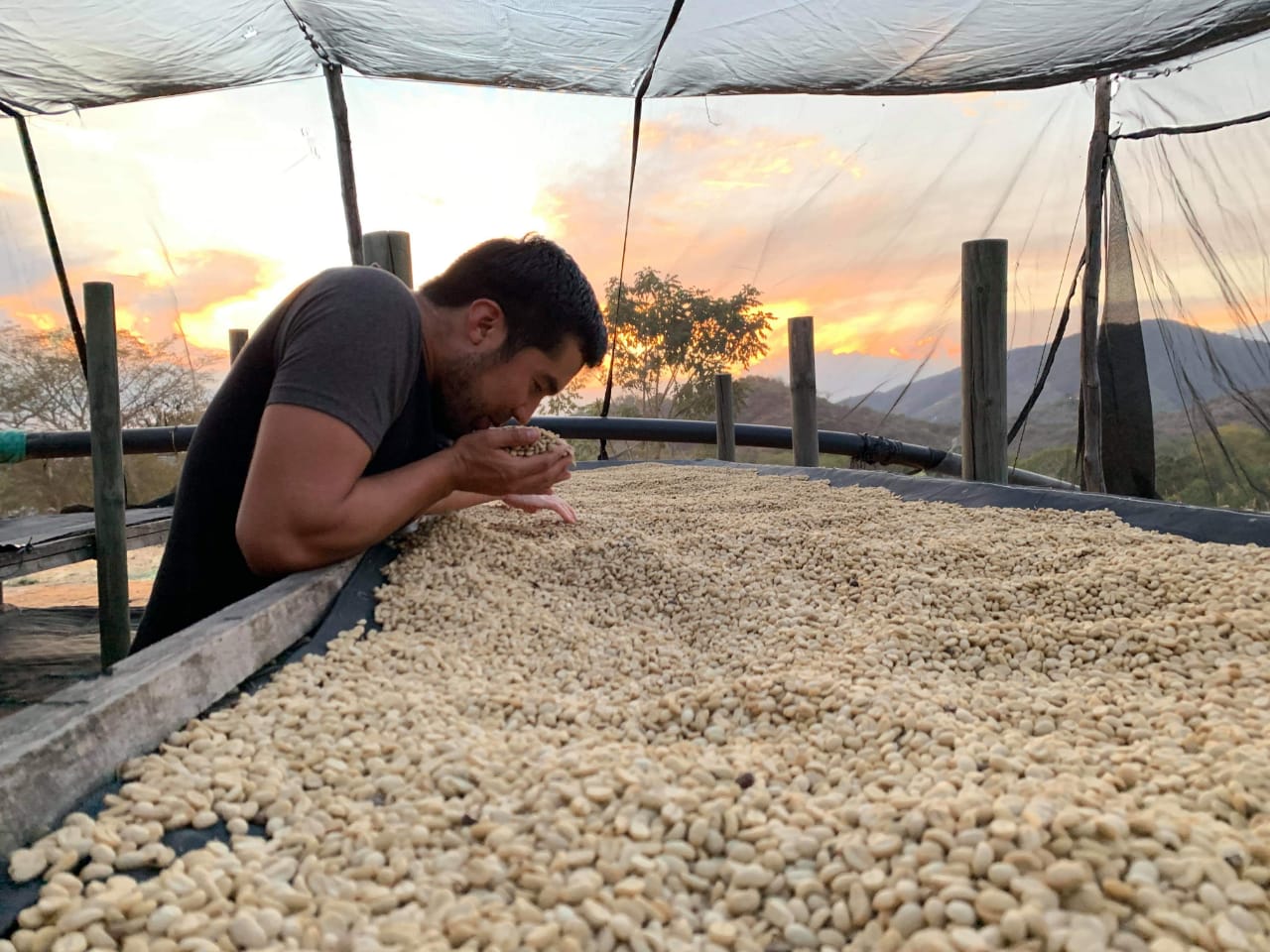 Nicaragua COE 2022 #7 - El Cambalache Maracaturra Honey