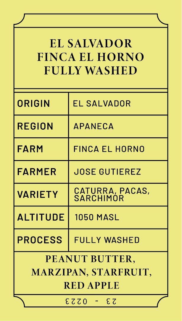 El Salvador Finca El Horno Washed