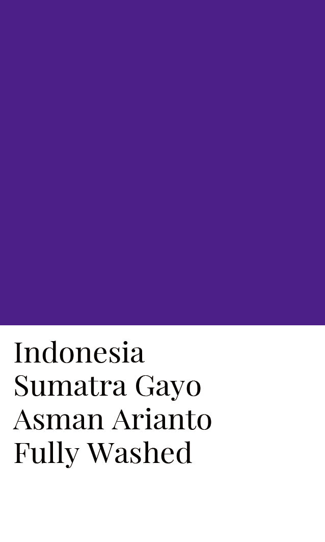 อินโดนีเซีย สุมาตรา Gayo Asman Arianto ล้างอย่างเต็มที่