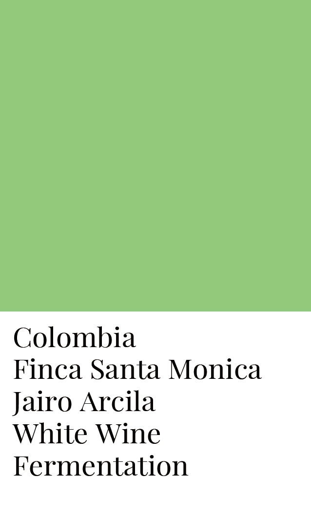 Colombia Jairo Arcila White Wine Fermentation