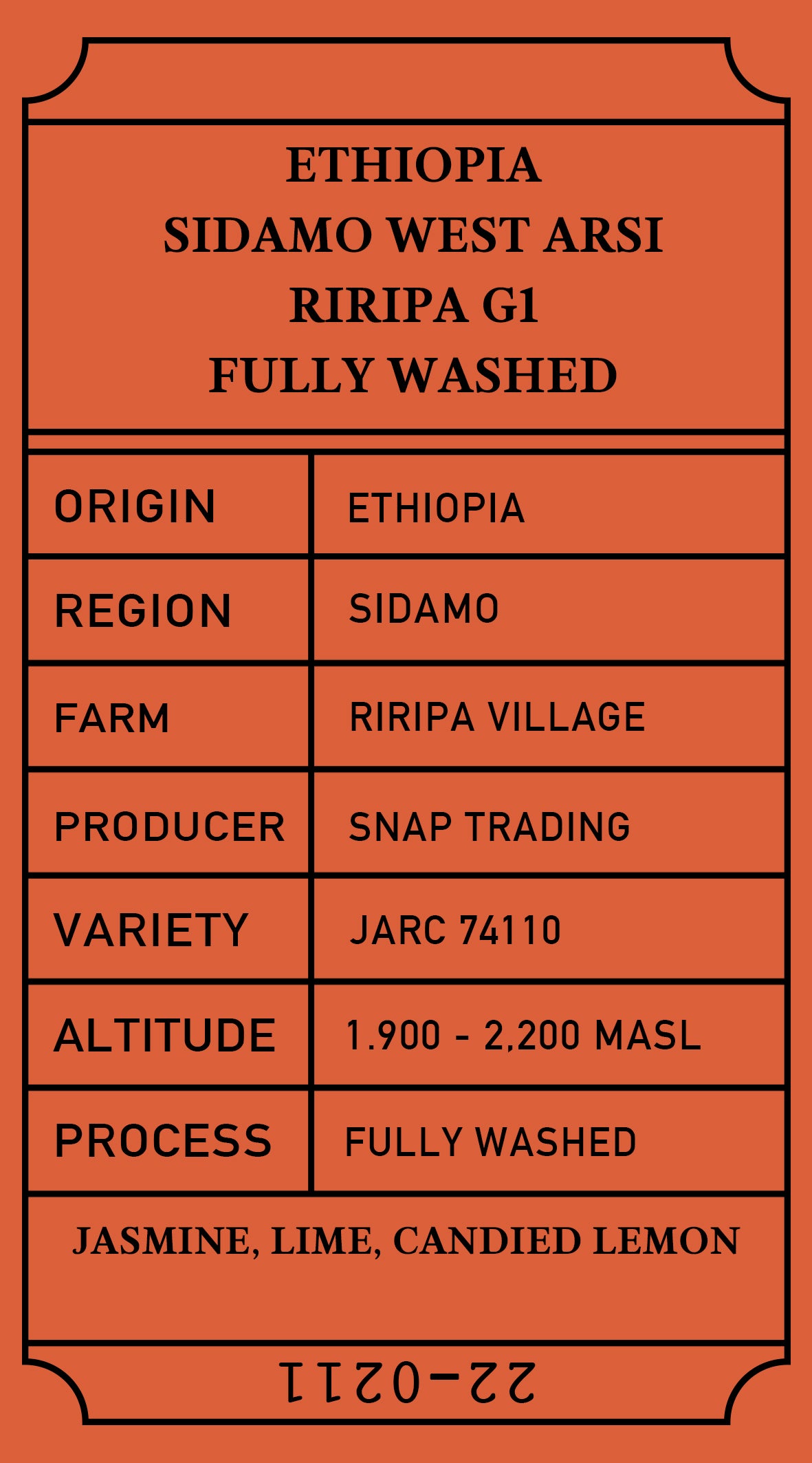 coffee bean Ethiopia Sidamo West Arsi Riripa G1