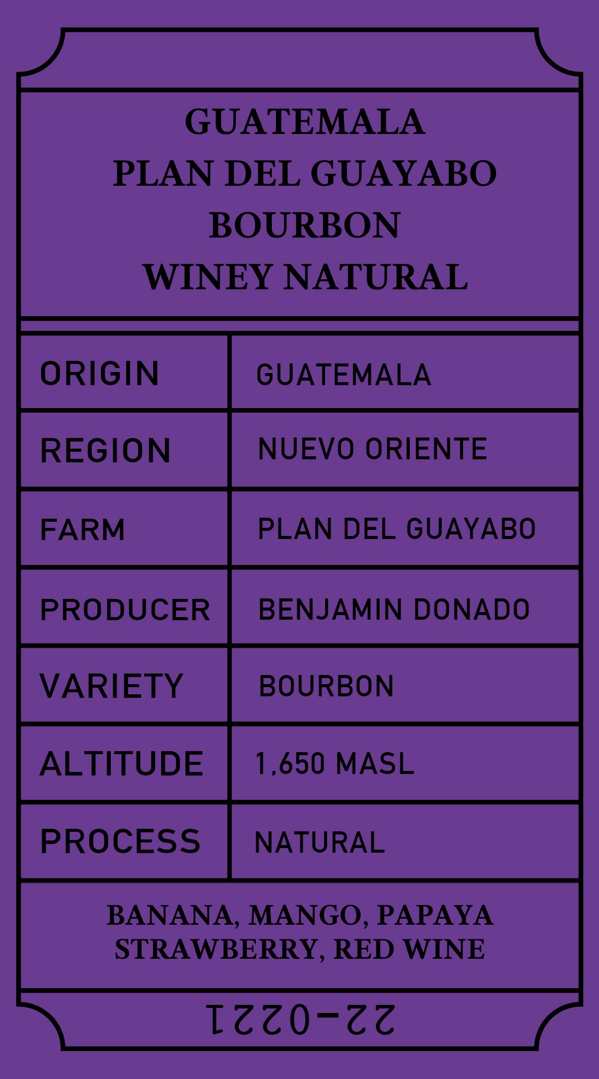 coffee bean Guatemala Plan del Guayabo Natural