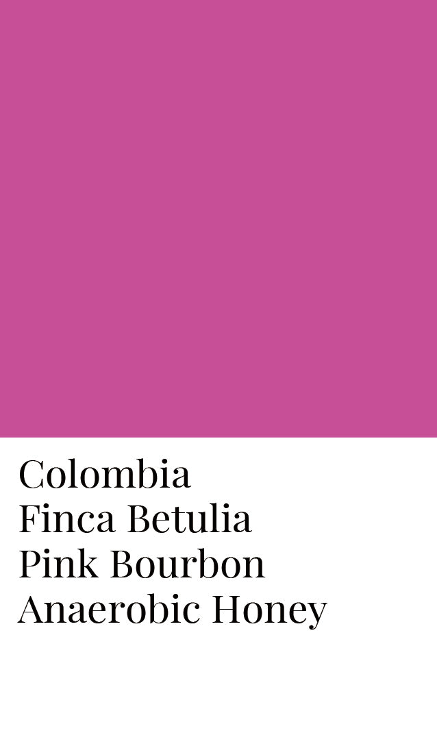 โคลอมเบีย Finca Betulia Pink Bourbon Anaerobic