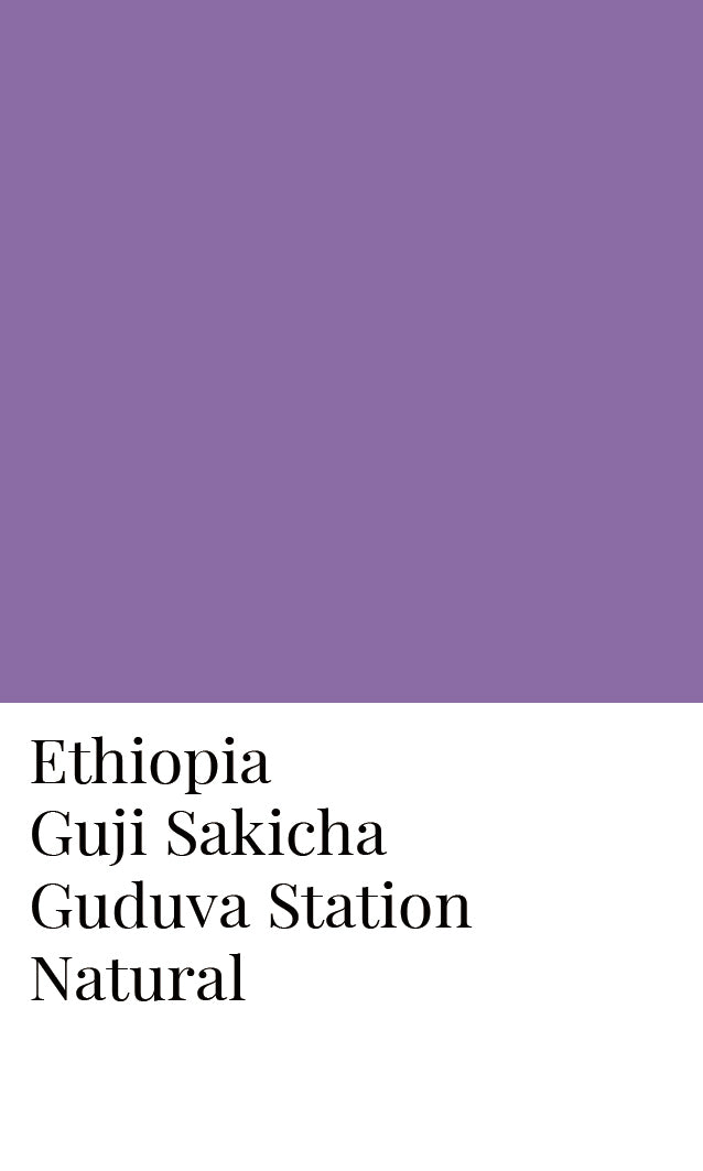 เอธิโอเปีย Guji Sakicha Guduva Natural