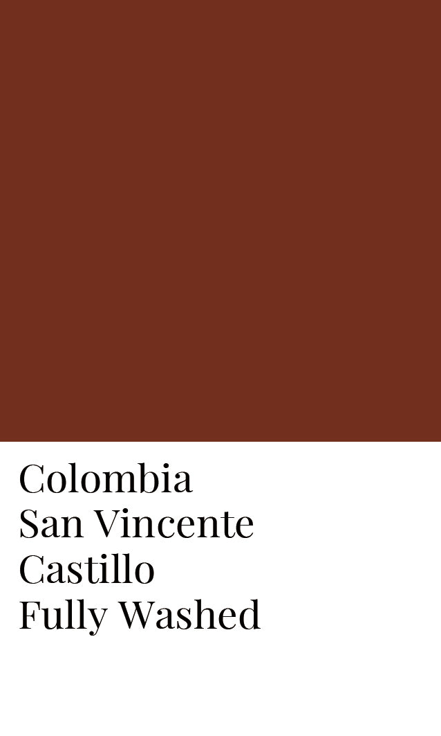 Colombia San Vicente Washed Castillo