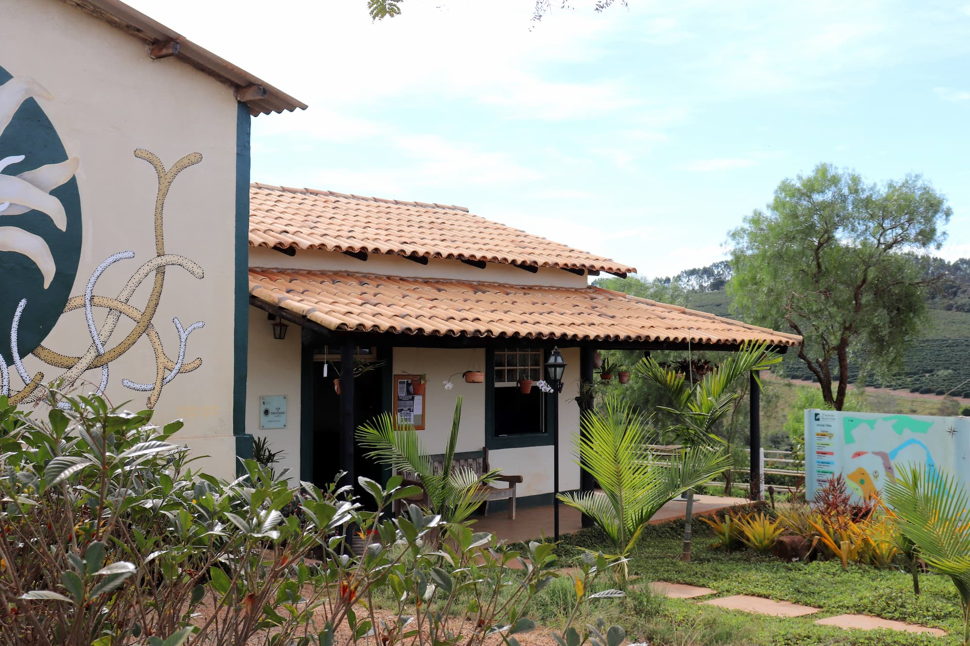 Brazil Fazenda Guariroba coffee farm