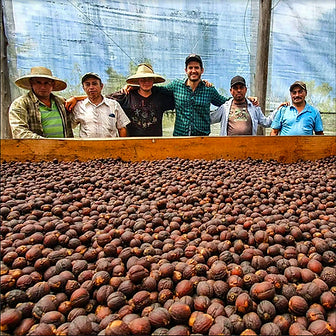 El Salvador Finca El Conacaste Private Auction Lot "Mystic Mirage"
