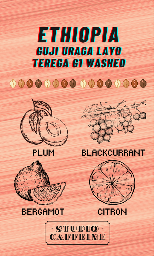 เอธิโอเปีย กูจิ อุรากา ลาโย เทเรกา Gr.1 วอช