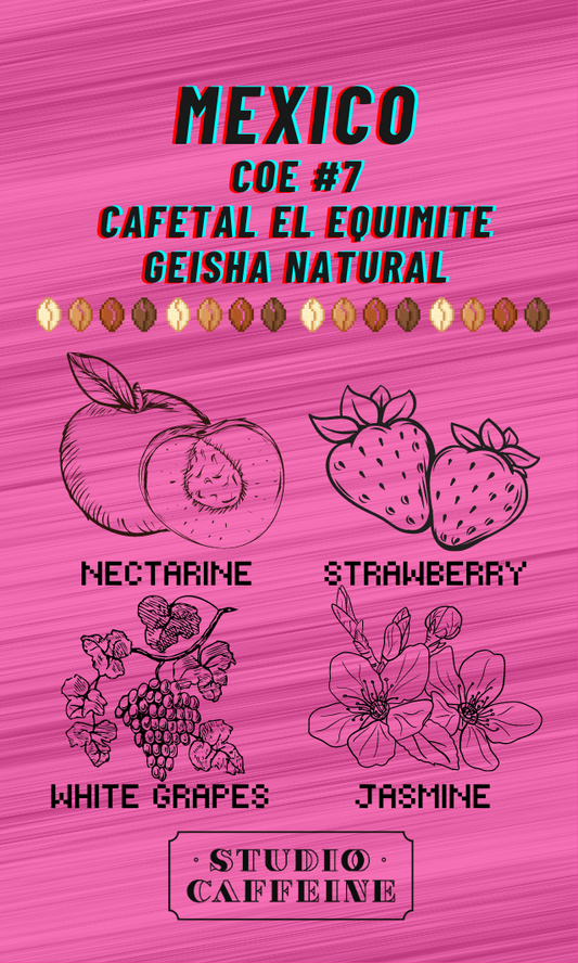 เม็กซิโก COE #7 Cafetal el Equimite Geisha Natural