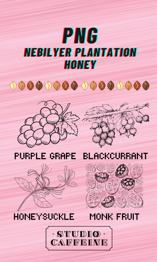 PNG Nebilyer Plantation Honey
