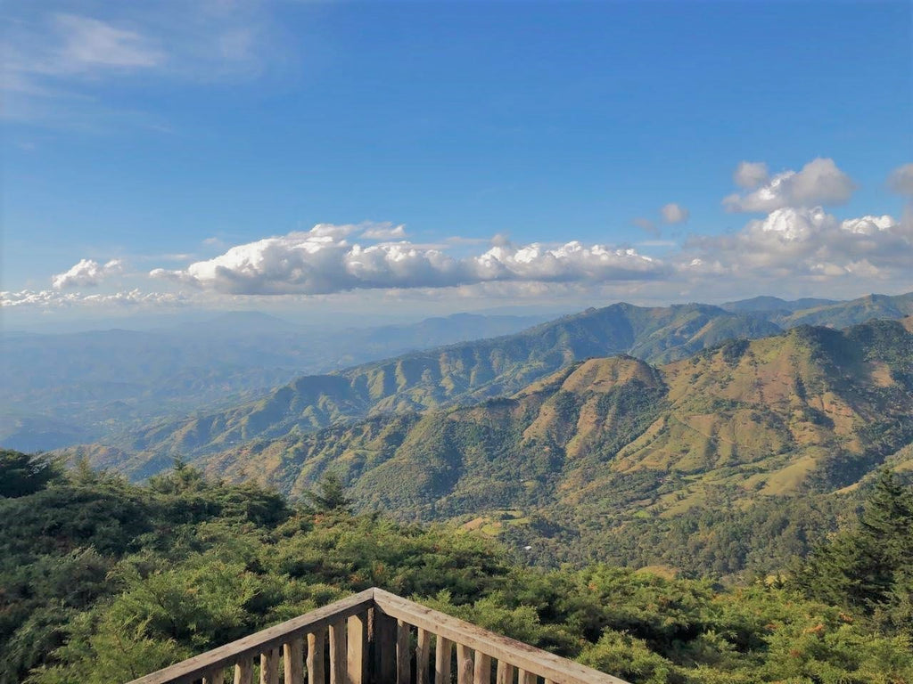 El Salvador 2022 COE#1 El Conacaste coffee farm