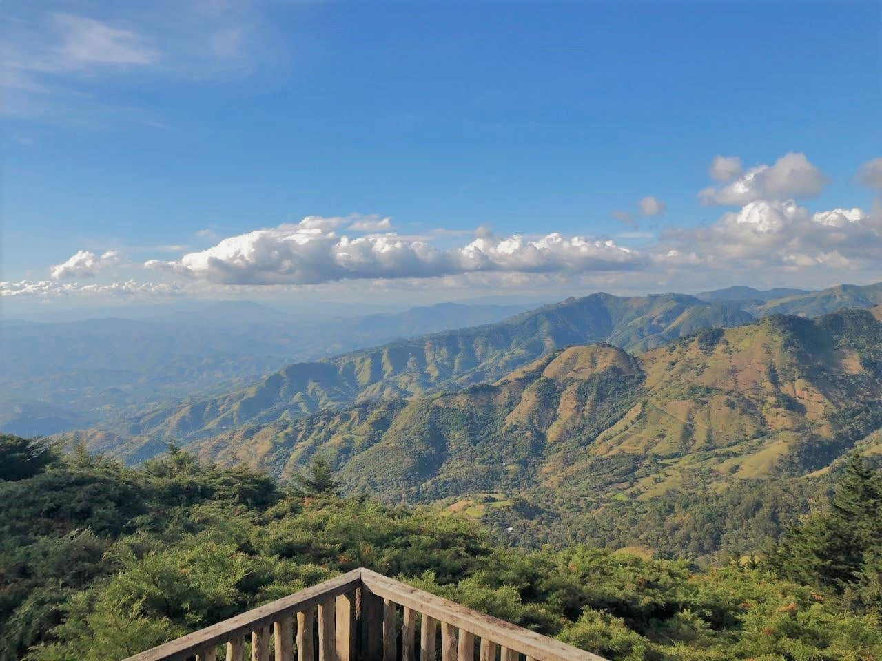 El Salvador 2022 COE#1 El Conacaste coffee farm