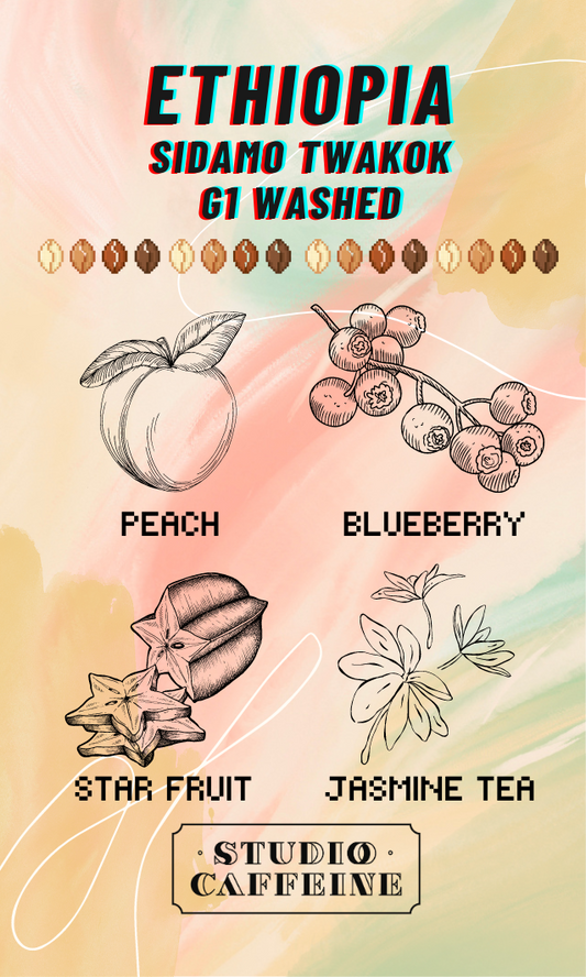 Ethiopia Sidamo Twakok G1 Washed Lot 24/01