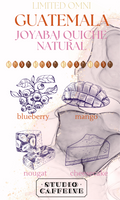 *LIMITED OMNI* Guatemala Joyabaj Quiche Natural