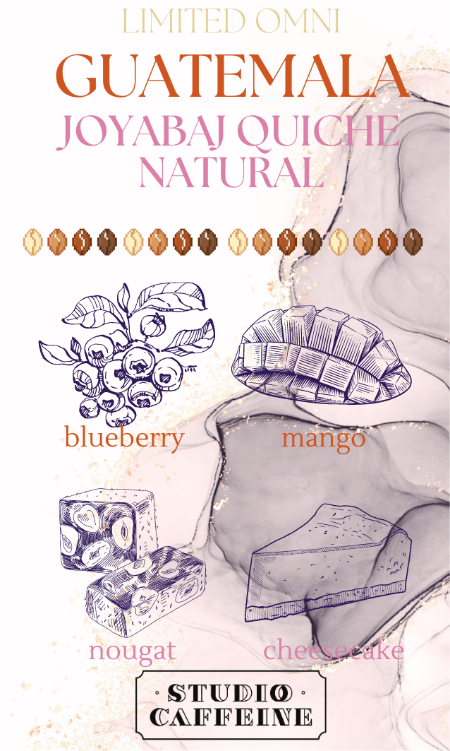 *LIMITED OMNI* Guatemala Joyabaj Quiche Natural