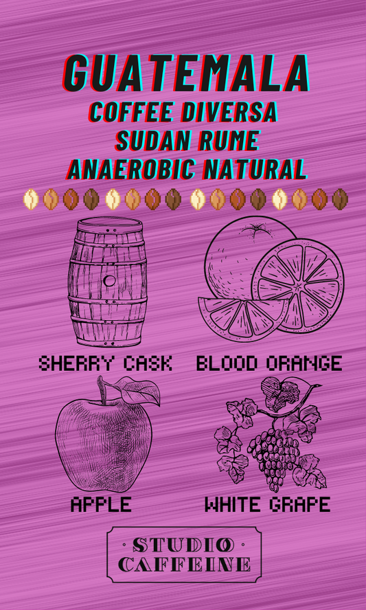 กาแฟกัวเตมาลา Diversa Sudan Rume แบบไม่ใช้ออกซิเจน Natural