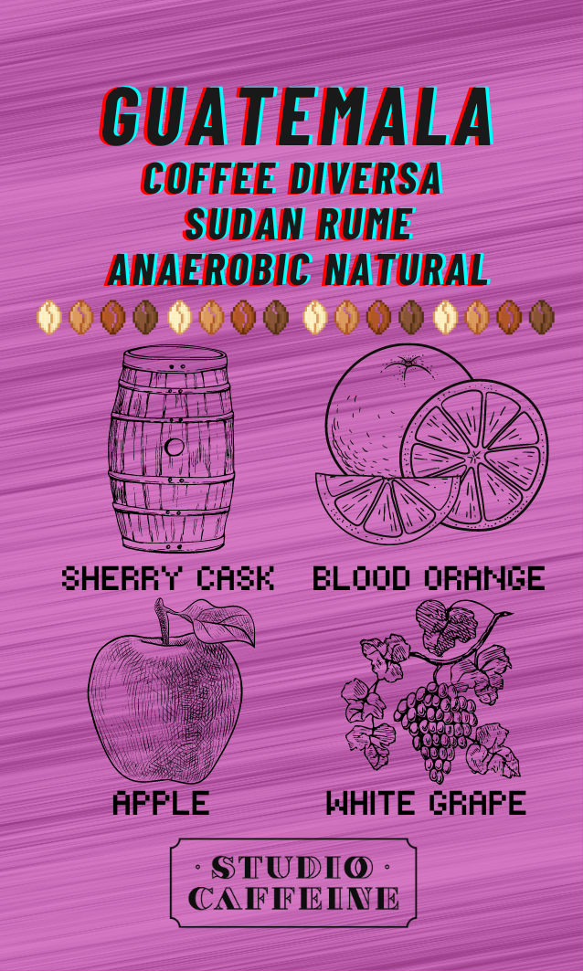 Guatemala Coffee Diversa Sudan Rume Anaerobic Natural