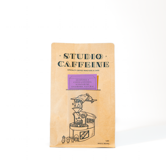 coffee bean Guatemala Coffee Diversa Sudan Rume Anaerobic Natural