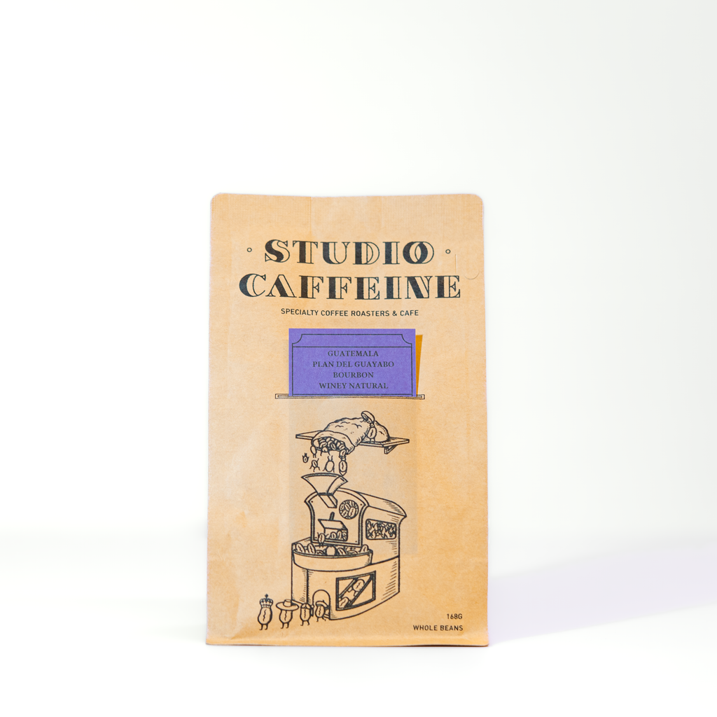 coffee bean Guatemala Plan del Guayabo Natural