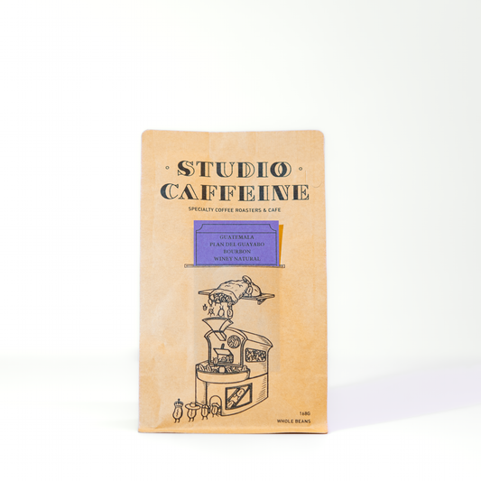 coffee bean Guatemala Plan del Guayabo Natural