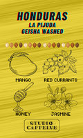 Honduras La Pijuda Geisha Washed