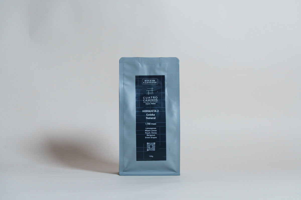 Panama CUATRO CAMINOS Finca Horqueta 2 Geisha Natural