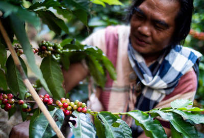 Thailand Letorgol Village COE #12 farmer