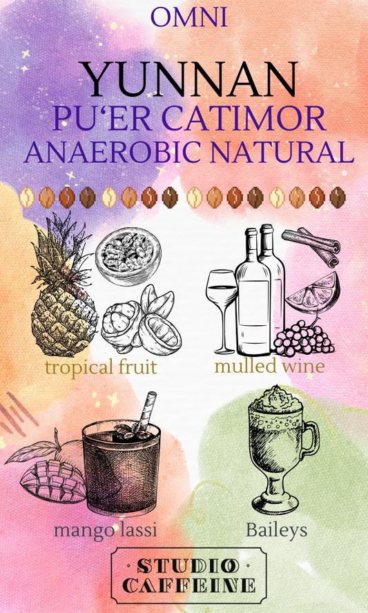 *OMNI* Yunnan Pu'er Catimor Anaerobic Natural