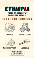 Ethiopia Taste of Harvest #1 Guji Uraga Natural coffee bean fresh roasted by Studio Caffeine