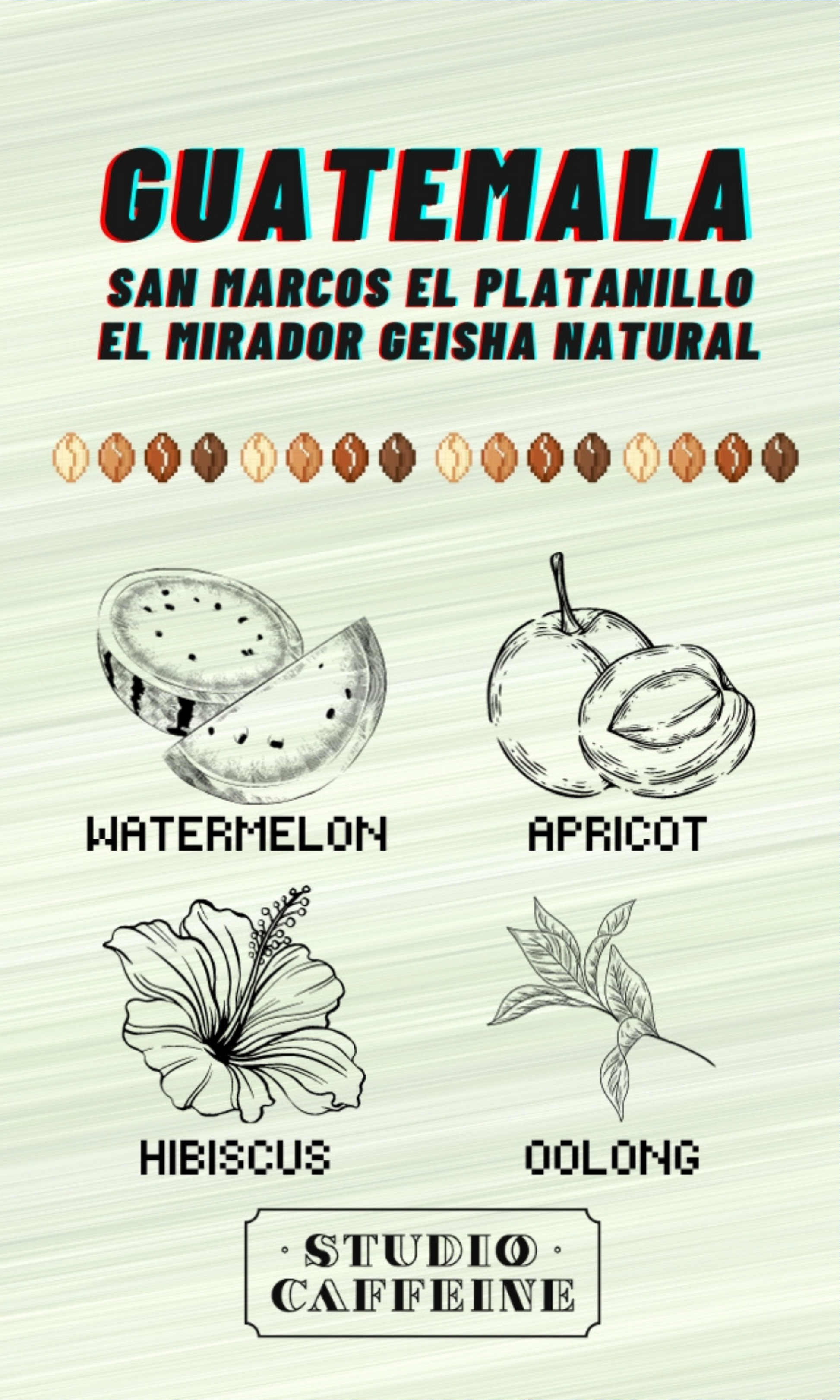 Guatemala El Platanillo El Mirador Geisha Natural coffee bean fresh roasted by Studio Caffeine