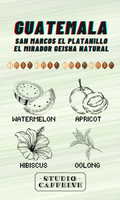 Guatemala El Platanillo El Mirador Geisha Natural coffee bean fresh roasted by Studio Caffeine