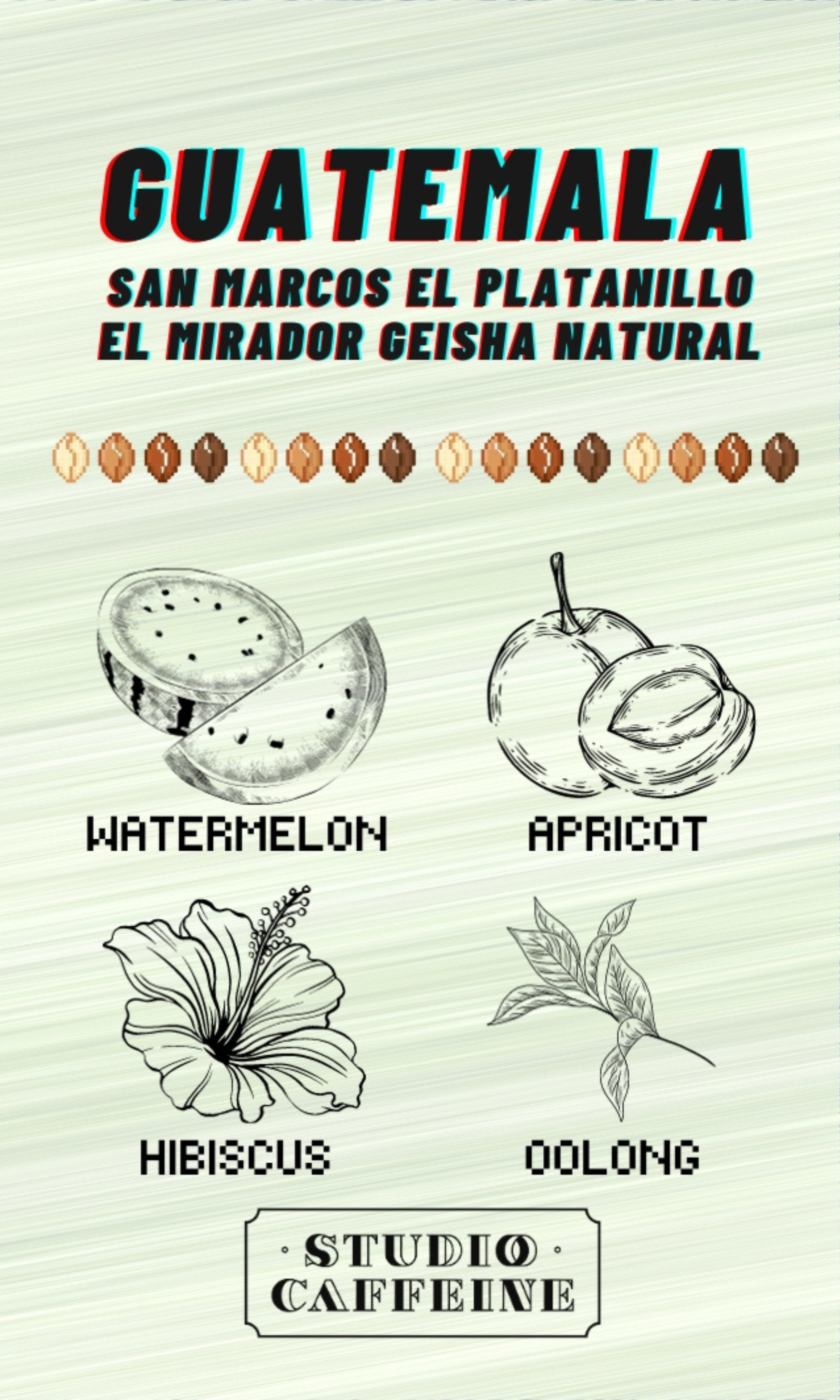 Guatemala El Platanillo El Mirador Geisha Natural coffee bean fresh roasted by Studio Caffeine
